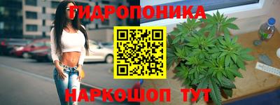 МДПВ Рыбинск