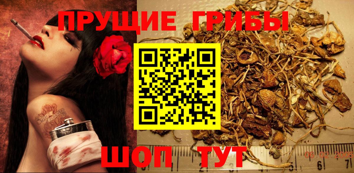 Галлюциногенные грибы ЛСД  Вход с VPN  Галлюциногенные грибы GOLDEN TEACHER  Реж 